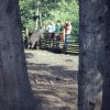 Kunsterspring Tierpark 1968