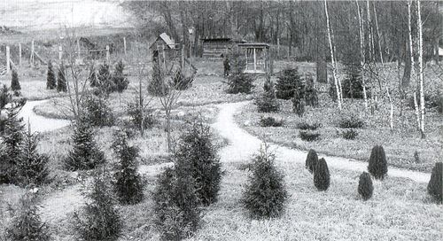 Dieser Gehölz-Garten sollte als Anschauungsobjekt für die Baumartenbestimmung dienen Foto: Archiv WAS Kunsterspring