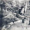Binenbach 1910