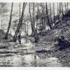 Binenbach 1911