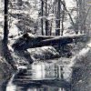 Binenbach 1912