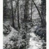 Binenbach 1914