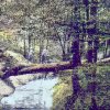 Binenbach 1922