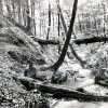Binenbach 1930