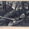 Binenbach 1949