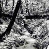 Binenbach 1951