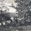 Binenwalde 1915