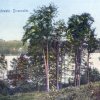 Binenwalde 1918