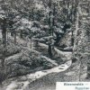 Binenwalde 1926