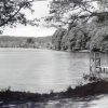 Binenwalde