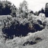 Boltenmühle 1960