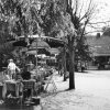 Boltenmühle 1968