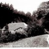 Boltenmühle Wald 1950