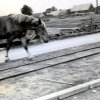 Gühlen Glienicke Sägewerk 6