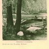 Kunsterspring Mühlenteich 1904
