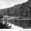 Kunsterspring