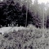 Motorscross 1985