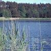 Giehmsee 1968 2