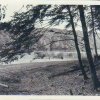 Tornowsee 1958